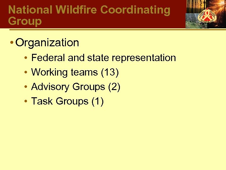 National Wildfire Coordinating Group • Organization • • Federal and state representation Working teams