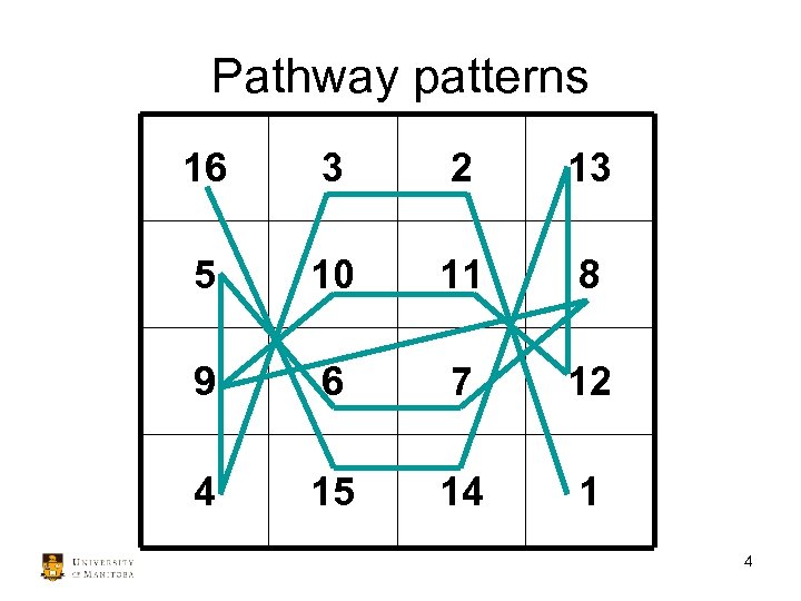 Pathway patterns 16 3 2 13 5 10 11 8 9 6 7 12