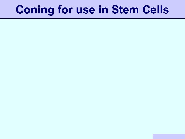 Coning for use in Stem Cells 