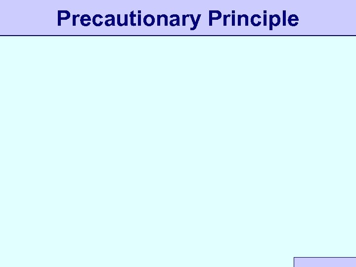 Precautionary Principle 