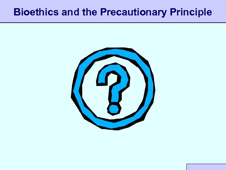 Bioethics and the Precautionary Principle 