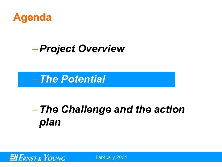 Agenda – Project Overview – The Potential – The Challenge and the action plan
