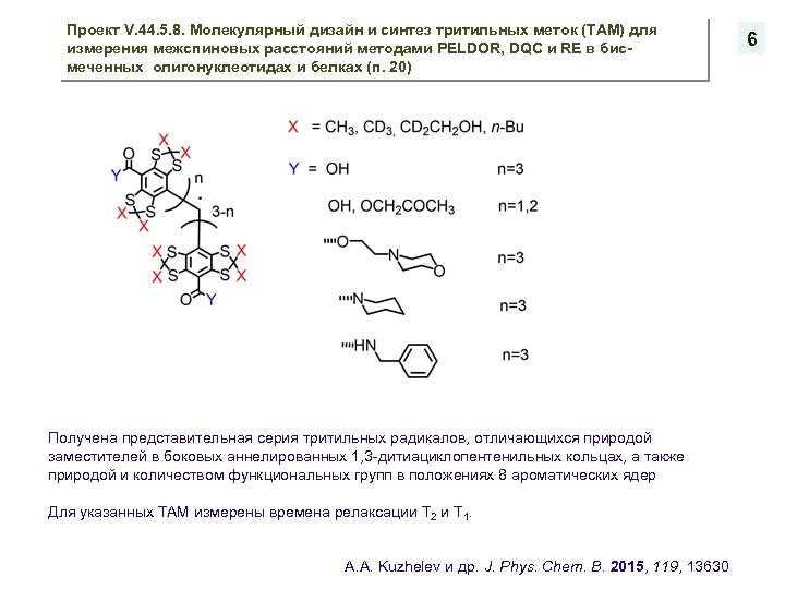 Проект V. 44. 5. 8. Молекулярный дизайн и синтез тритильных меток (TAM) для измерения