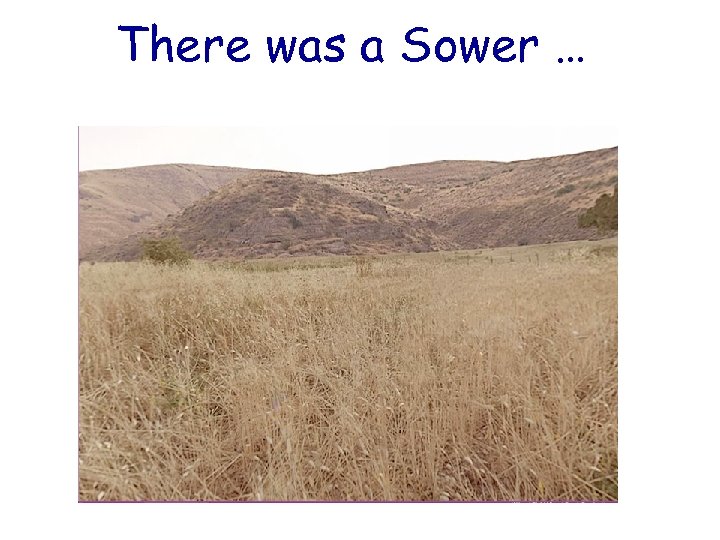 There was a Sower … 