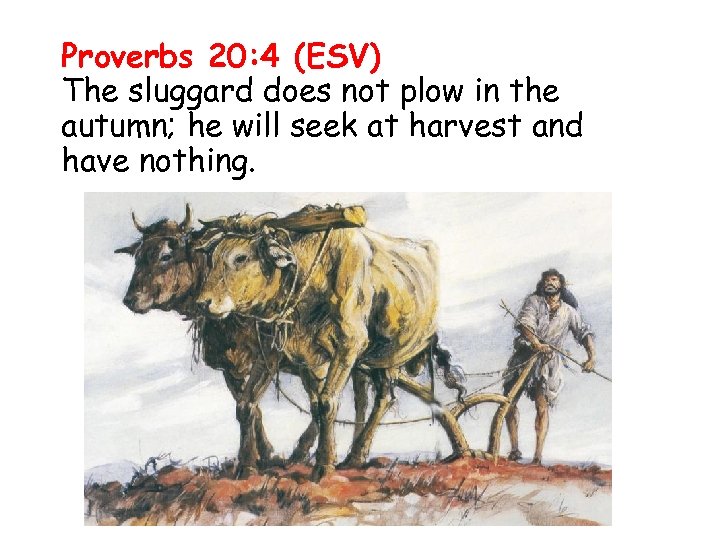 Proverbs 20: 4 (ESV) The sluggard does not plow in the autumn; he will