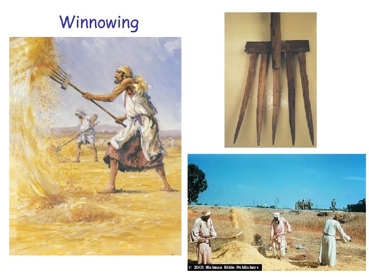 Winnowing 