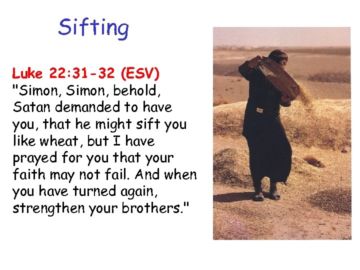 Sifting Luke 22: 31 -32 (ESV) 