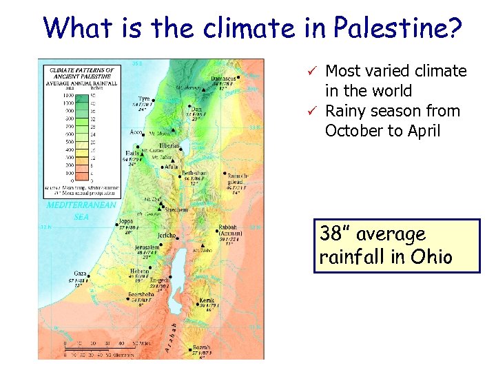 What is the climate in Palestine? Most varied climate in the world ü Rainy