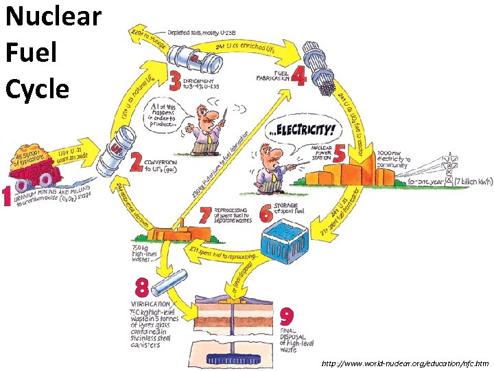 Nuclear Fuel Cycle http: //www. world-nuclear. org/education/nfc. htm 