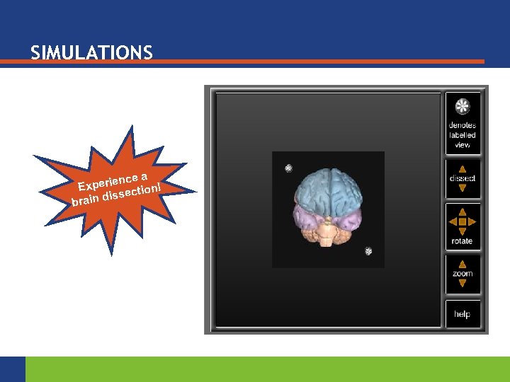 SIMULATIONS ce a perien ion! Ex ect in diss bra 