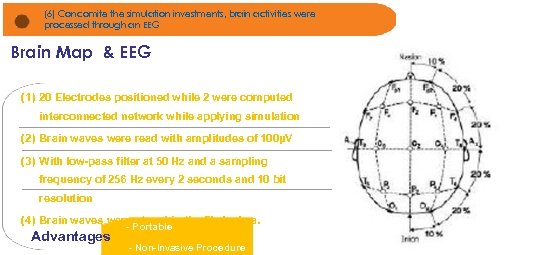 (6) Concomite the simulation investments, brain activities were processed through an EEG Brain Map