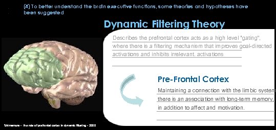 (4) To better understand the brain executive functions, some theories and hypotheses have been