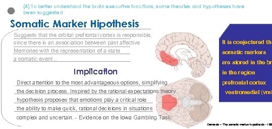 (4) To better understand the brain executive functions, some theories and hypotheses have been