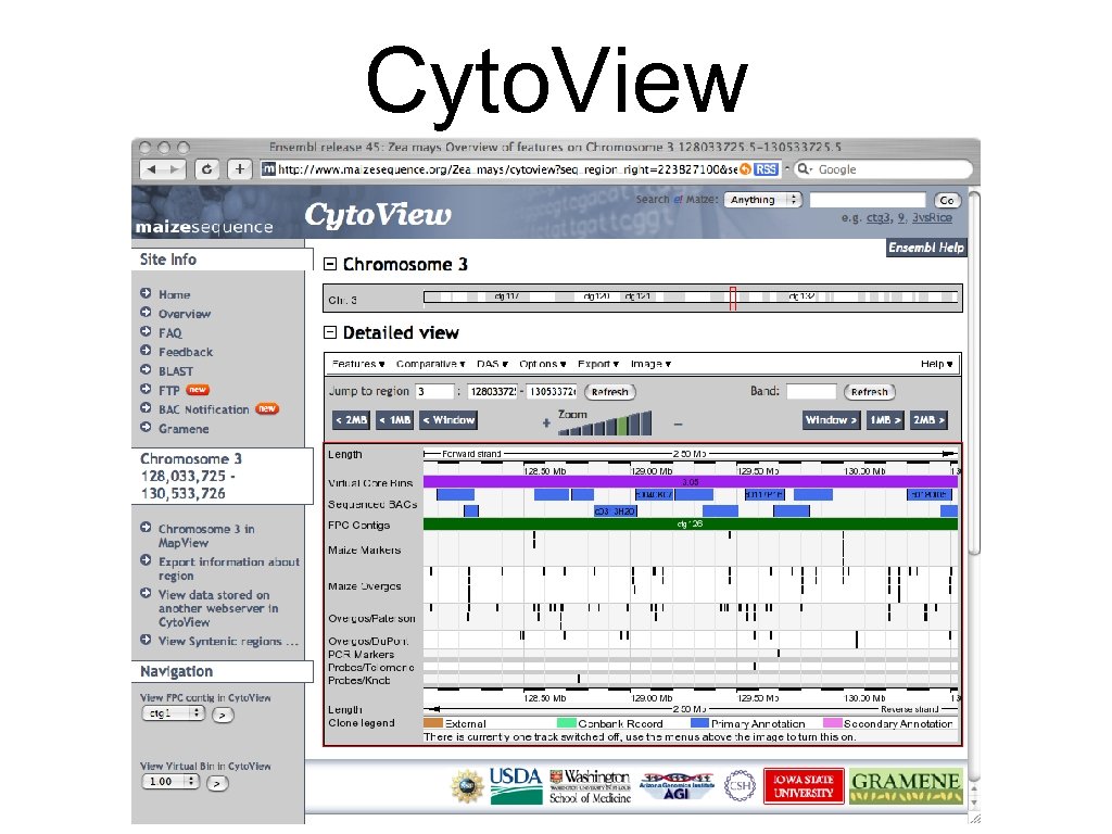 Cyto. View 