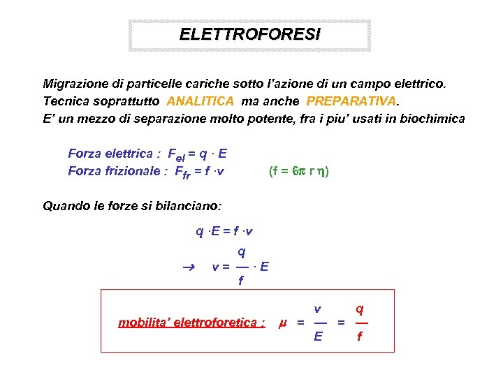 ELETTROFORESI Migrazione di particelle cariche sotto l’azione di un campo elettrico. Tecnica soprattutto ANALITICA