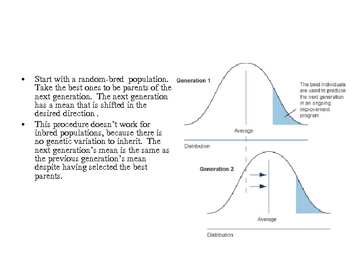  • • Start with a random-bred population. Take the best ones to be