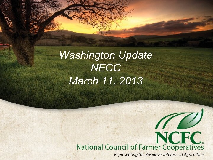 Washington Update NECC March 11, 2013 