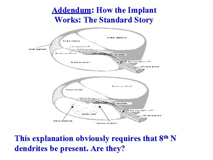 Addendum: How the Implant Works: The Standard Story This explanation obviously requires that 8