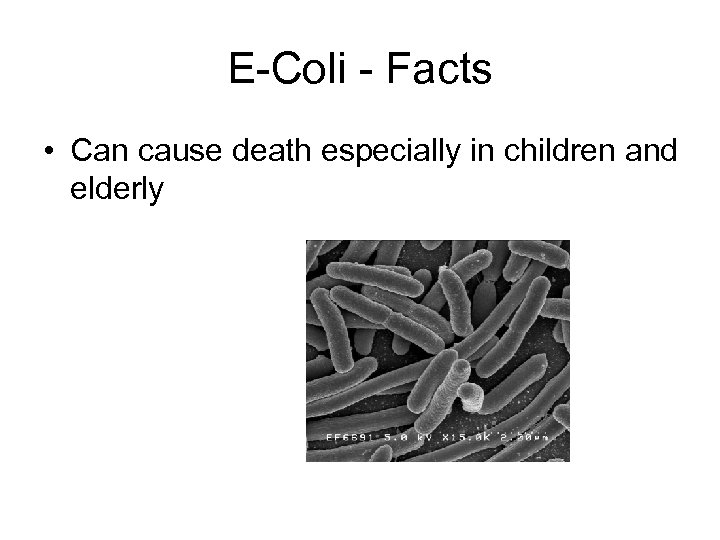 E-Coli - Facts • Can cause death especially in children and elderly 