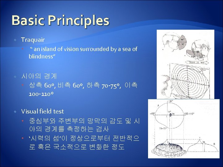 Basic Principles Traquair “ an island of vision surrounded by a sea of blindness”