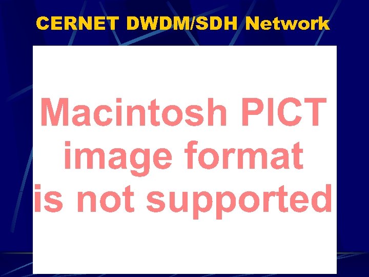CERNET DWDM/SDH Network 