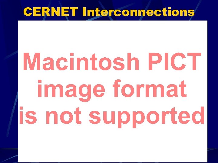CERNET Interconnections 