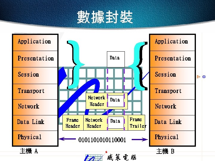 數據封裝 Application Presentation Session Transport } { Application Session Transport Network Header Network Data