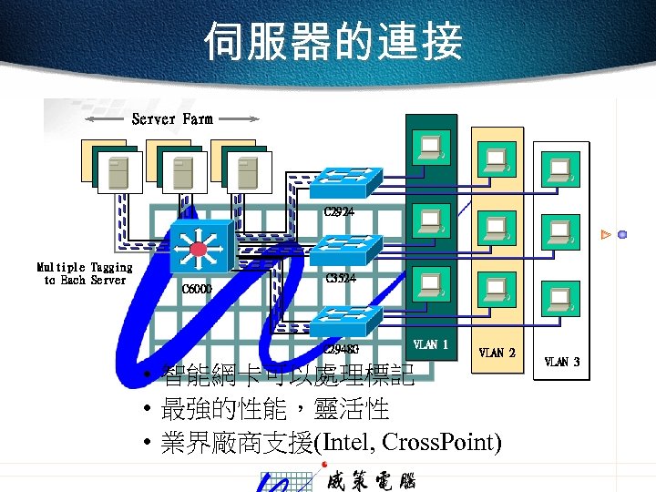 伺服器的連接 Server Farm C 2924 Multiple Tagging to Each Server C 6000 C 3524