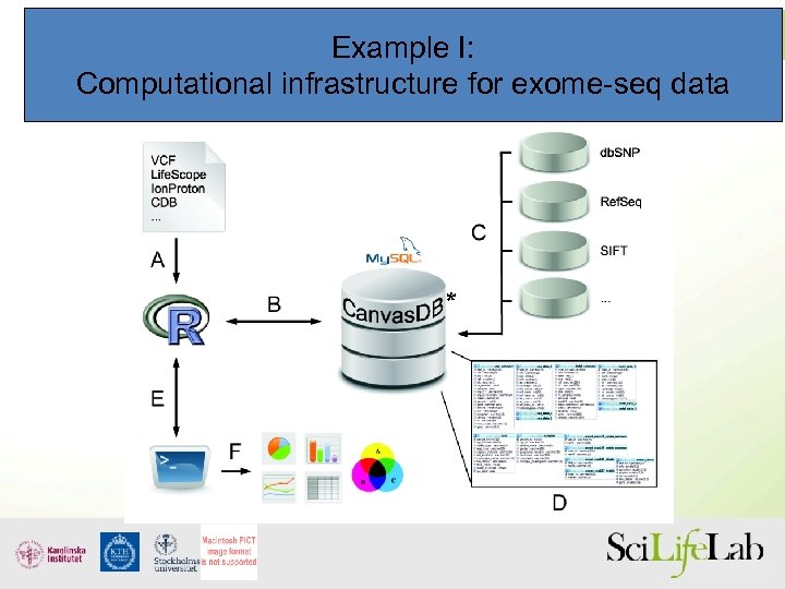 Example I: Computational infrastructure for exome-seq data * 