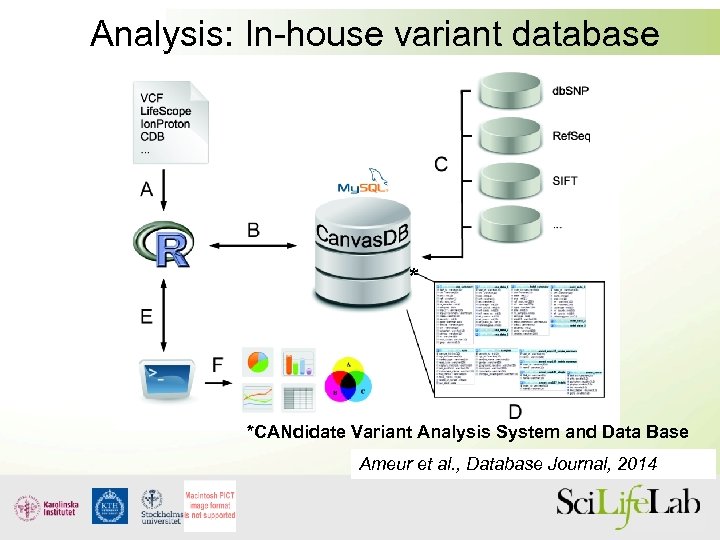 Analysis: In-house variant database * *CANdidate Variant Analysis System and Data Base Ameur et