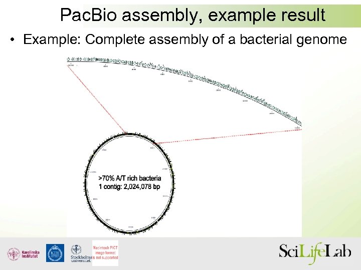 Pac. Bio assembly, example result • Example: Complete assembly of a bacterial genome 