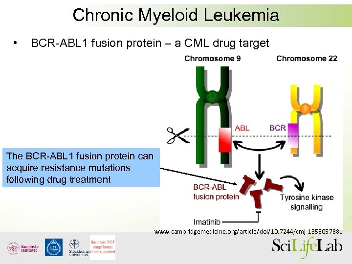 Chronic Myeloid Leukemia • BCR-ABL 1 fusion protein – a CML drug target The