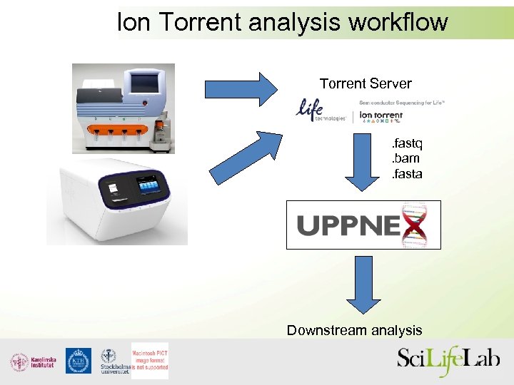 Ion Torrent analysis workflow Torrent Server . fastq. bam. fasta Downstream analysis 