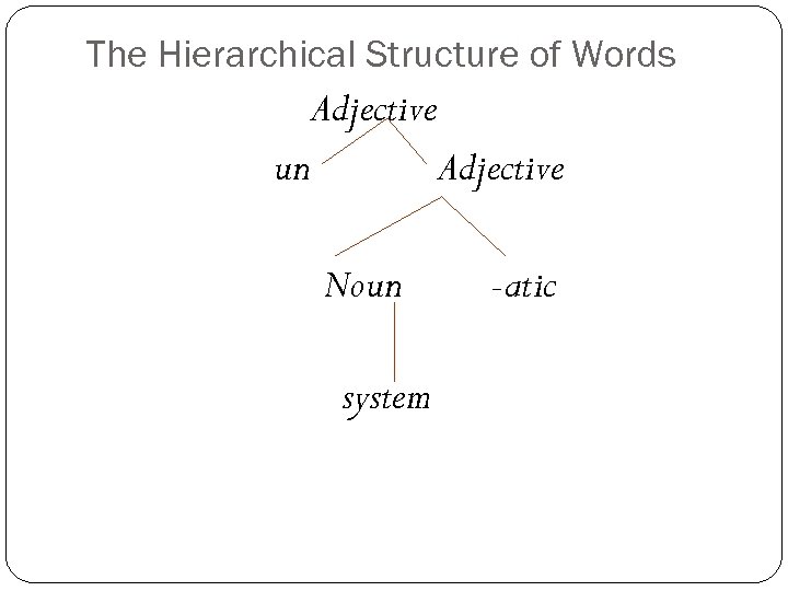 The Hierarchical Structure of Words Adjective un Adjective Noun system -atic 