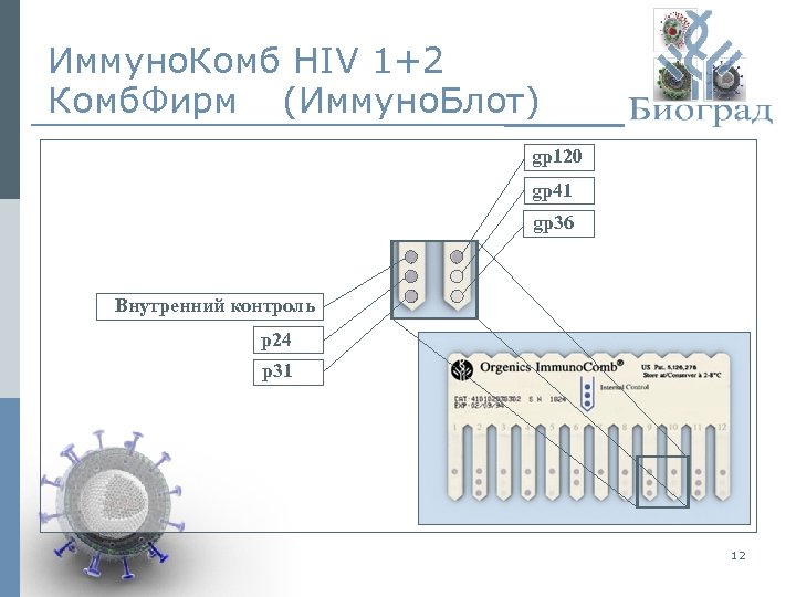 Иммуно. Комб HIV 1+2 Комб. Фирм (Иммуно. Блот) gp 120 gp 41 gp 36