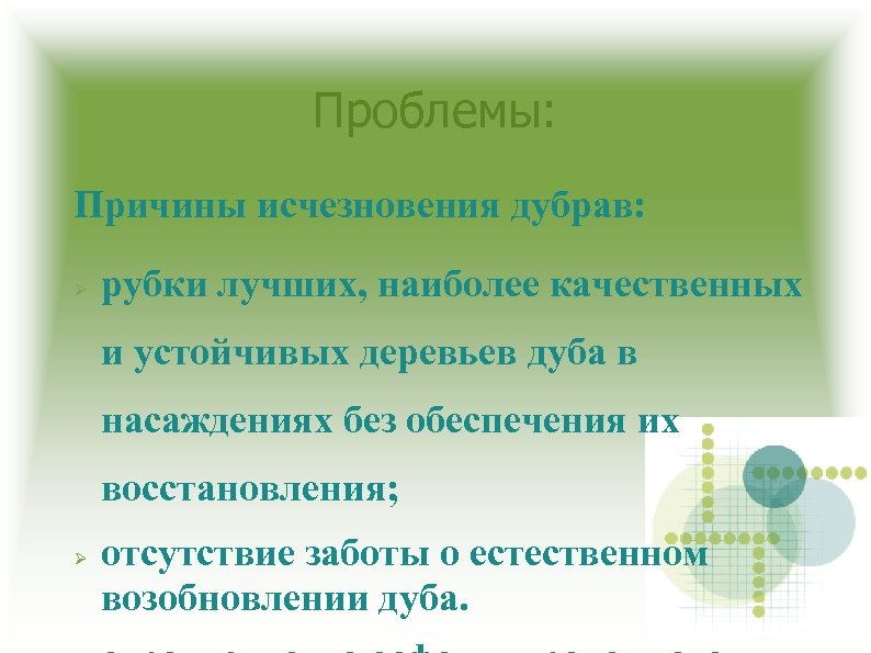 Проблемы: Причины исчезновения дубрав: рубки лучших, наиболее качественных и устойчивых деревьев дуба в насаждениях