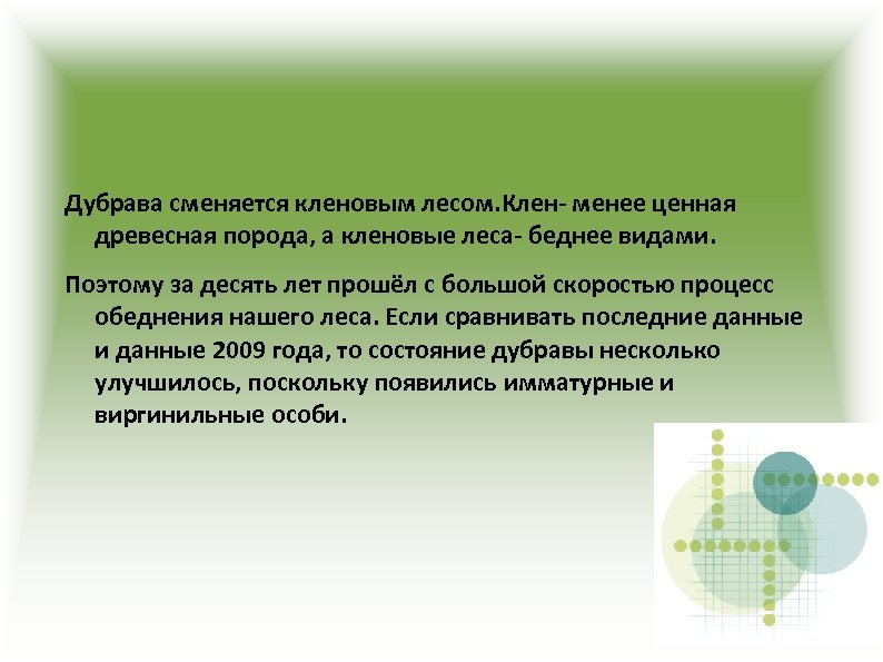 Дубрава сменяется кленовым лесом. Клен- менее ценная древесная порода, а кленовые леса- беднее видами.