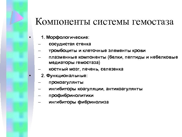 Компоненты системы гемостаза • • 1. Морфологические: – сосудистая стенка – тромбоциты и клеточные