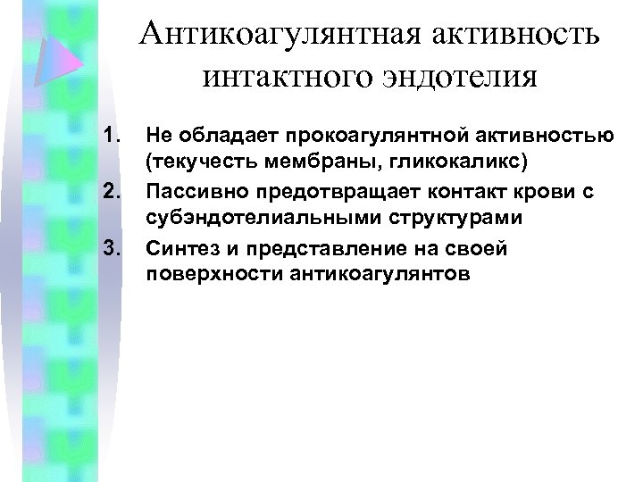 Антикоагулянтная активность интактного эндотелия 1. 2. 3. Не обладает прокоагулянтной активностью (текучесть мембраны, гликокаликс)