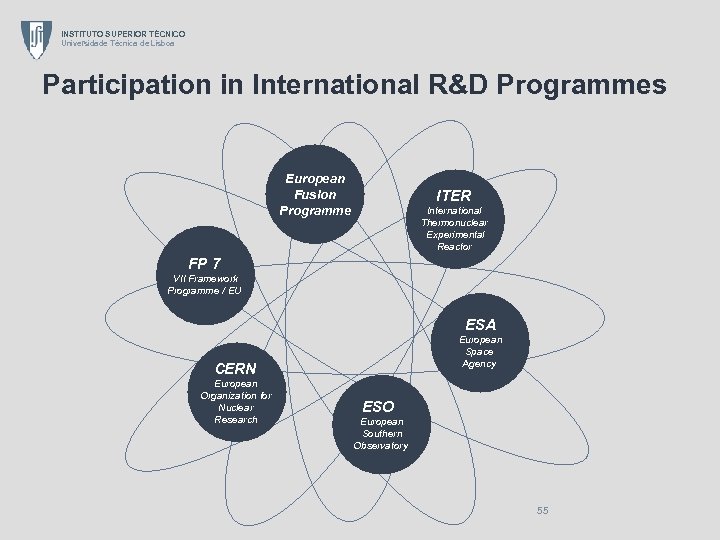 INSTITUTO SUPERIOR TÉCNICO Universidade Técnica de Lisboa Participation in International R&D Programmes European Fusion