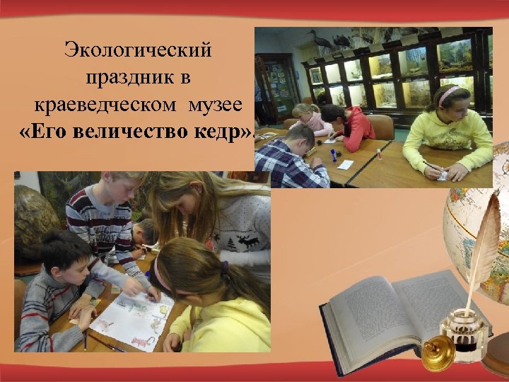 Экологический праздник в краеведческом музее «Его величество кедр» . 