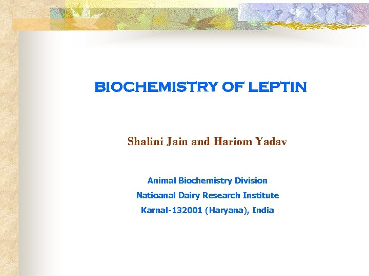 BIOCHEMISTRY OF LEPTIN Shalini Jain and Hariom Yadav Animal Biochemistry Division Natioanal Dairy Research