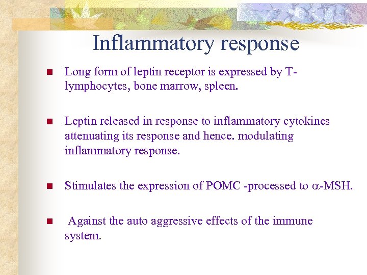 Inflammatory response n Long form of leptin receptor is expressed by Tlymphocytes, bone marrow,