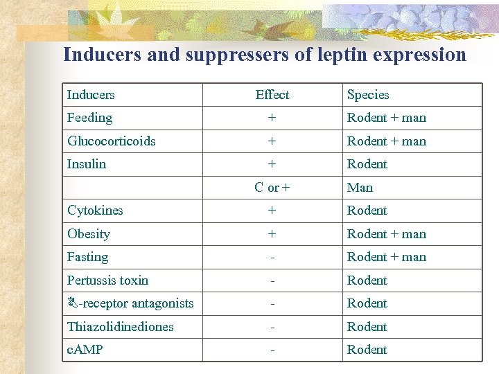 Inducers and suppressers of leptin expression Inducers Effect Feeding + Rodent + man Glucocorticoids