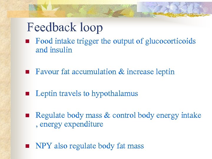 Feedback loop n Food intake trigger the output of glucocorticoids and insulin n Favour