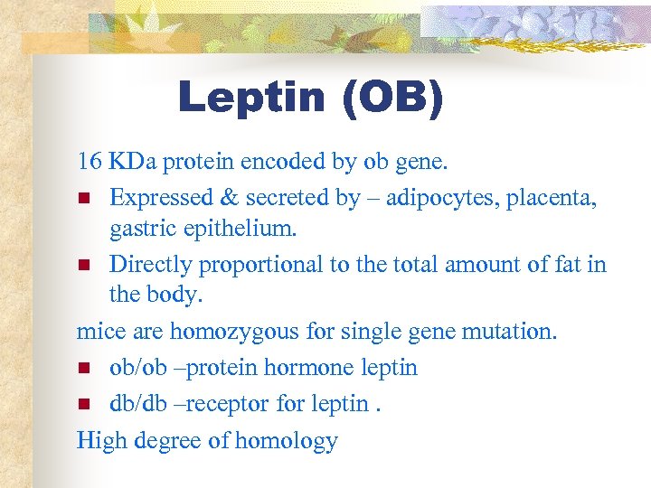 Leptin (OB) 16 KDa protein encoded by ob gene. n Expressed & secreted by