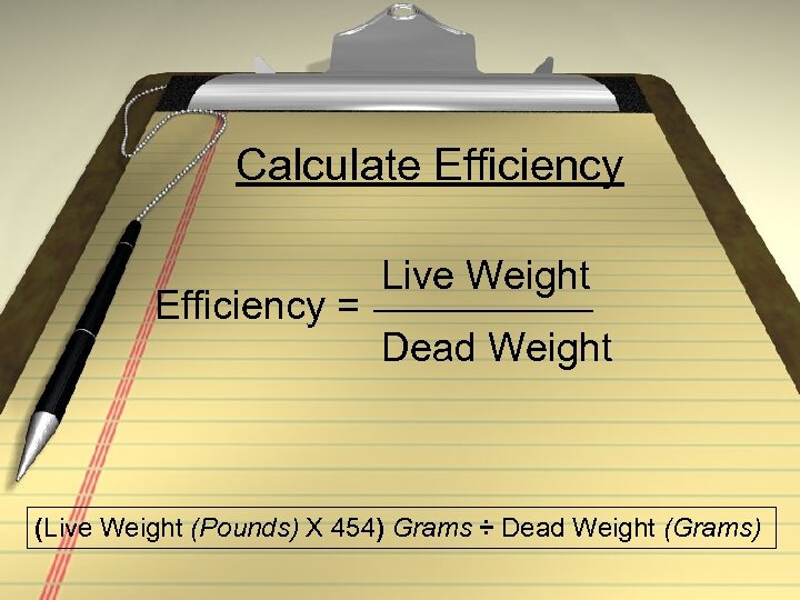 Calculate Efficiency = Live Weight Dead Weight (Live Weight (Pounds) X 454) Grams ÷