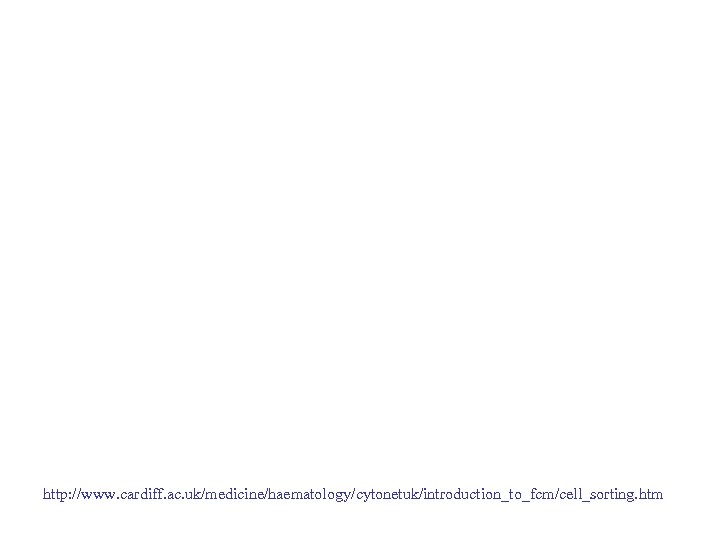 http: //www. cardiff. ac. uk/medicine/haematology/cytonetuk/introduction_to_fcm/cell_sorting. htm 