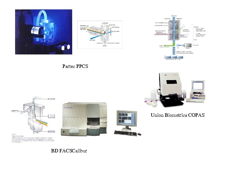 Partec PPCS Union Biometrica COPAS BD FACSCalibur 