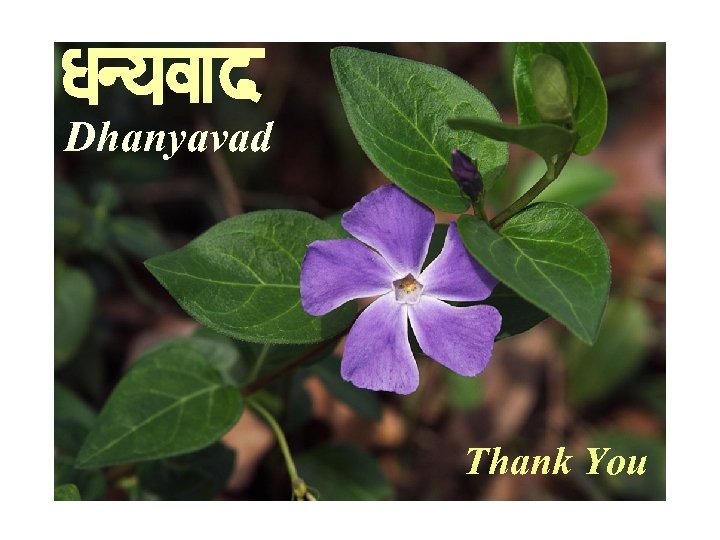 Dhanyavad Thank You 